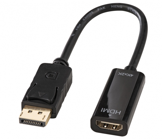 Adattatore DisplayPort a HDMI 4K Passivo