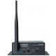 Ricevitore audio stereo wireless Denon DN-202WR