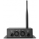 Trasmettitore audio stereo wireless Denon DN-202WT